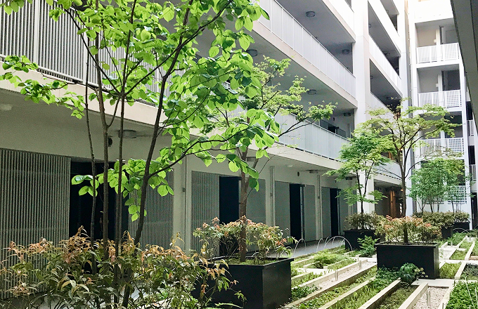 マンション植栽管理・植栽工事
